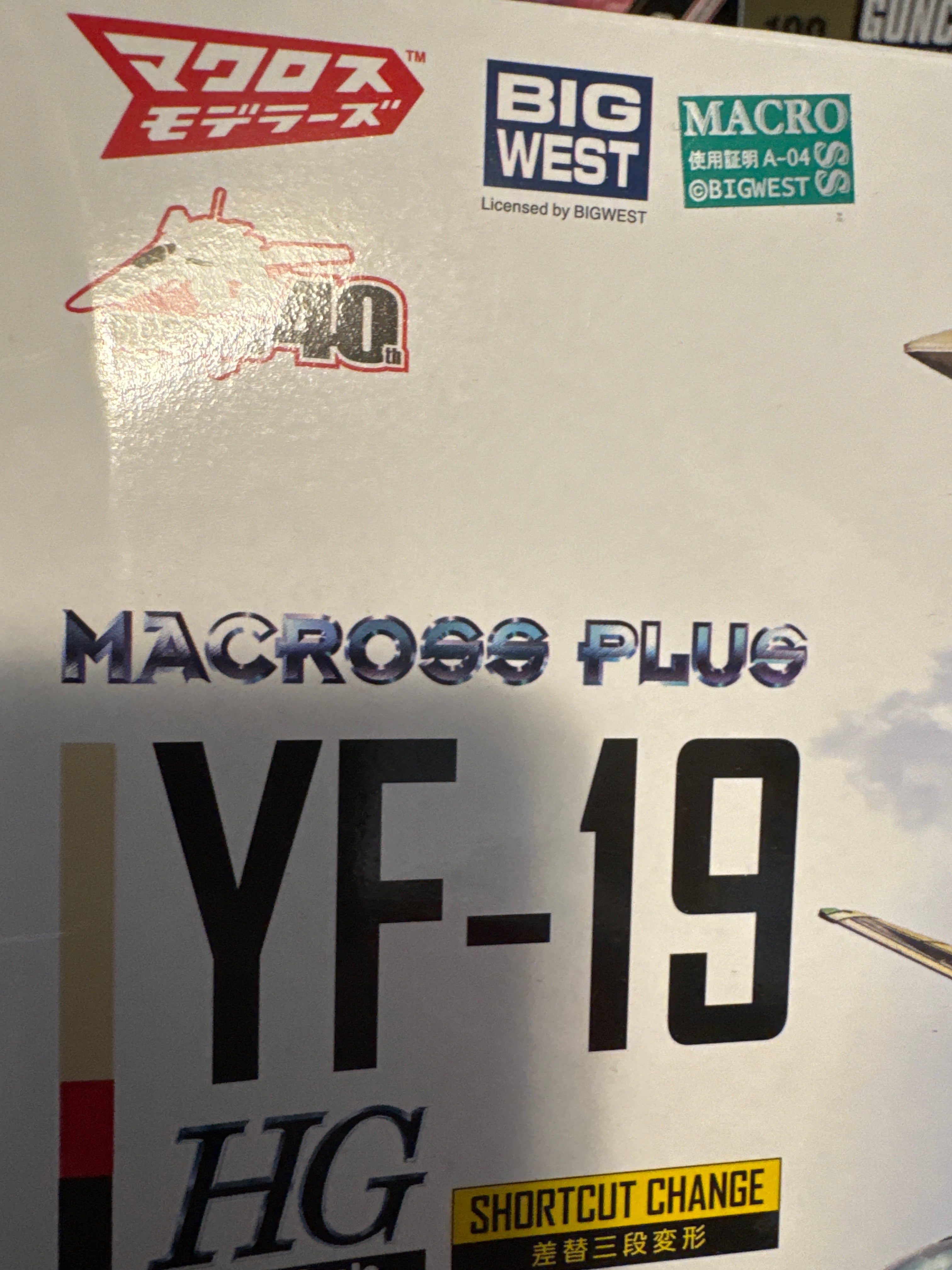 HG 1/100 YF-19 Macross Plus (Slightly Damaged Box, runner perfect condition Victoria Location)