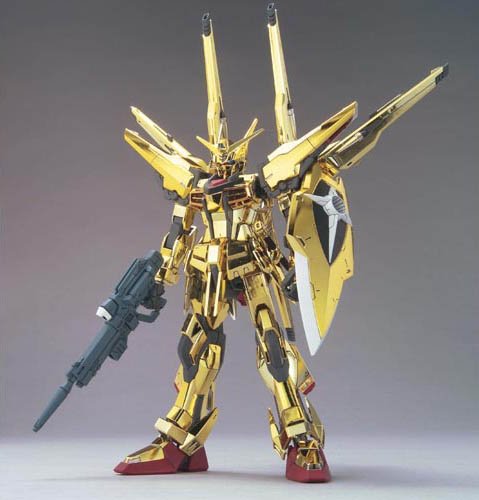 HG 1/100