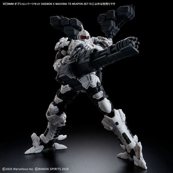 30MM OPTION PARTS SET DAEMON X MACHINA TS WEAPON SET 01