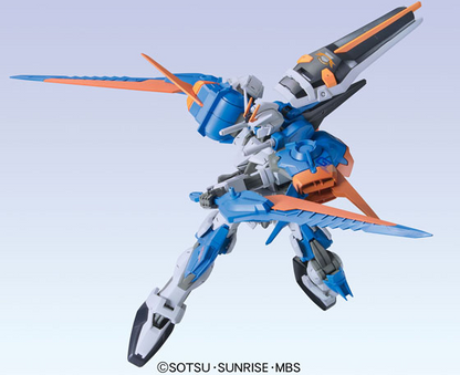 HG 1/100 