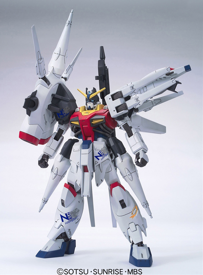 HG 1/100 