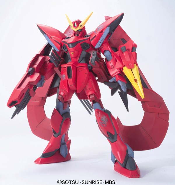 HG 1/100 