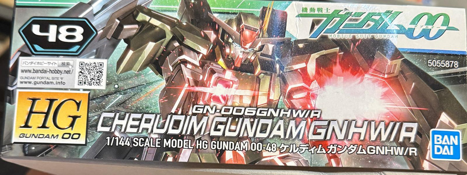 HG00 1/144 